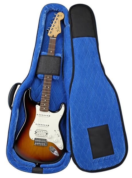 Reunion Blues Electric Guitar Internal