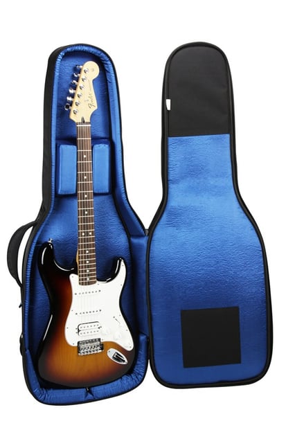 Reunion Blues RBX Electric Guitar Internal Full