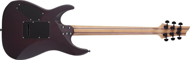 Schecter C-1 Exotic Ebony 2