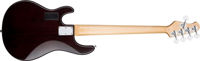 Sub by Sterling Ray5 Bass Walnut Satin Back