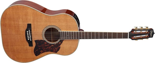 Takamine CRN-TS1 Dreadnought Main