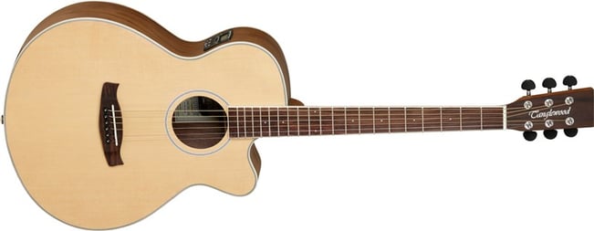 Tanglewood DBT SF CE Discovery Exotic Main