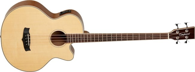 Tanglewood TW8 AB Main