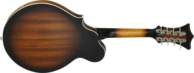 Tanglewood TWM F VS E Mandolin Back