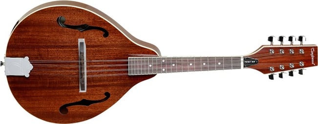 Tanglewood TWM T MH Mandolin Front