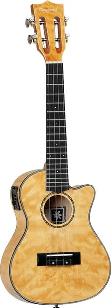 Tanglewood TWT29E Concert Ukulele 2