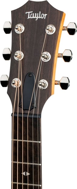 Taylor GT Urban Ash Grand Theater 8