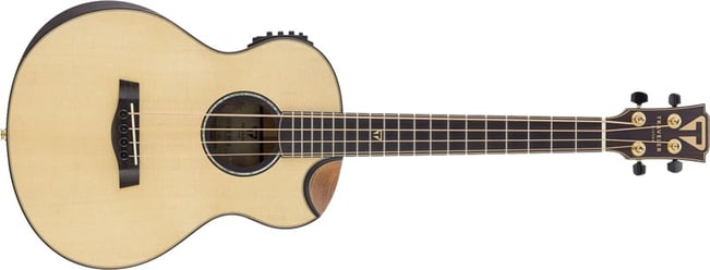 Traveler CL-3BE Electro Acoustic Bass 1