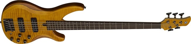 Yamaha TRBX605FM Bass Matte Amber Angle